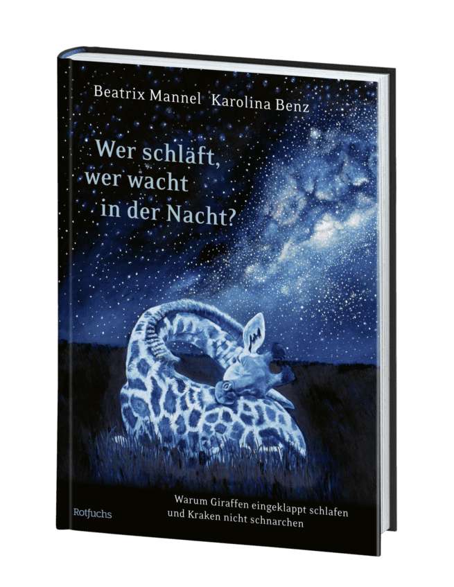 Wer schläft, wer wacht in der Nacht? – Bild 2