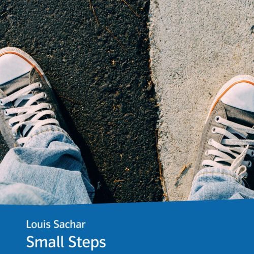 Small Steps