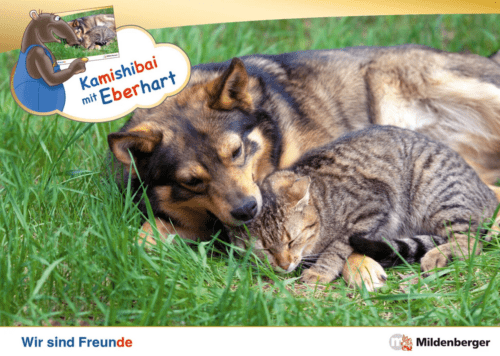 "Wir sind Freunde" Kamishibai-Set mit Eberhart