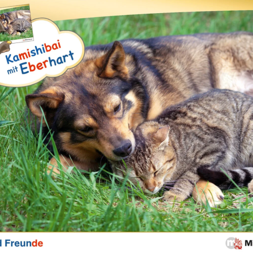 "Wir sind Freunde" Kamishibai-Set mit Eberhart