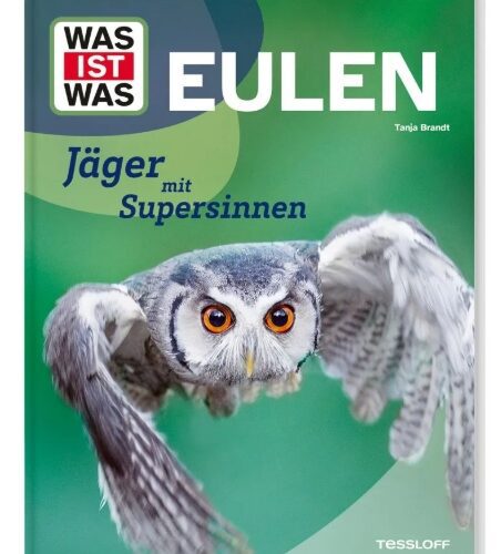 Tanja Brandt - Eulen
